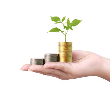 para sikke elinde büyüyen