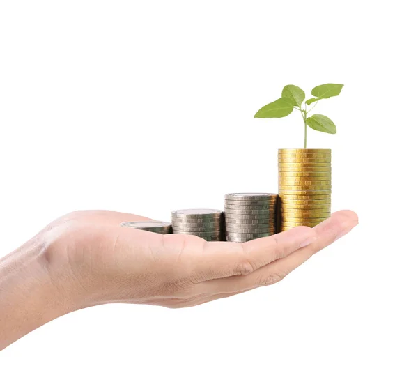 stock image money growing from coins in hand