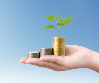 para sikke elinde büyüyen