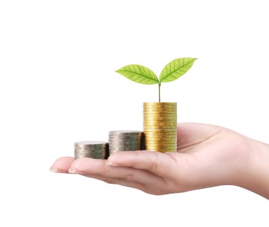 para sikke elinde büyüyen