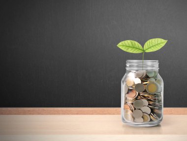 Cam domuz yasağı büyüyen Filiz