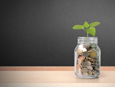 Cam domuz yasağı büyüyen Filiz