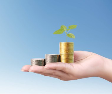 para sikke elinde büyüyen