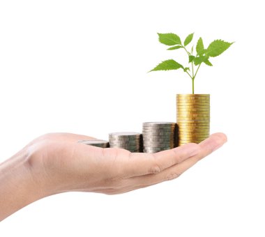 para sikke elinde büyüyen