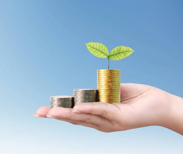 Money growing from coins in hand — Stock Photo, Image