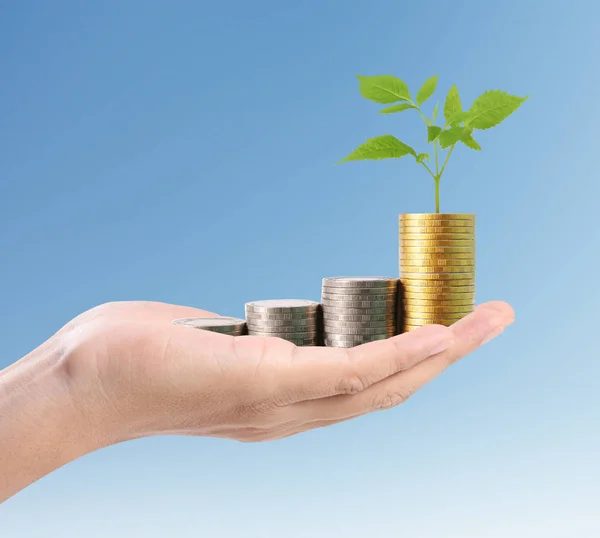 Money growing from coins in hand — Stock Photo, Image