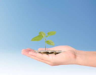 jeton elinde büyüyen bitki