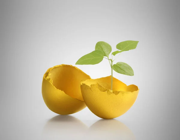 復活祭の卵は黄金 — ストック写真