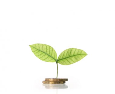 Madeni paralar borsa grafiği