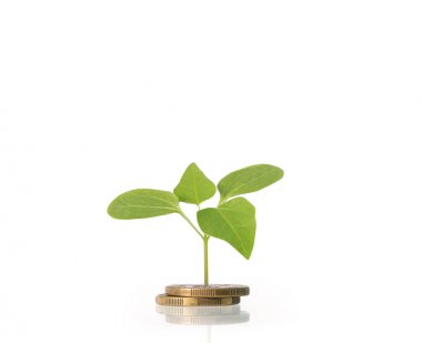 Madeni paralar borsa grafiği