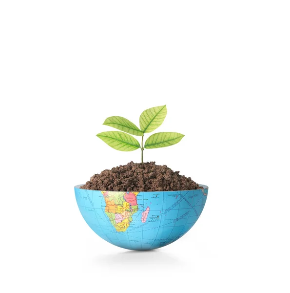 Globe  a environment concept — Stock Photo, Image