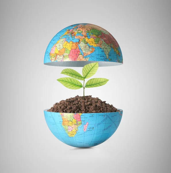 Globus ein Umweltkonzept — Stockfoto