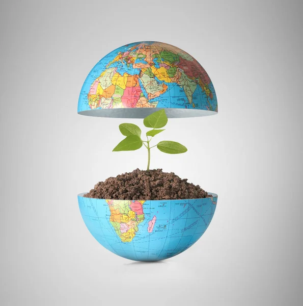 Globo un concetto ambientale — Foto Stock