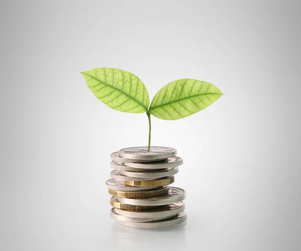 Monedas gráfico mercado de valores — Foto de Stock