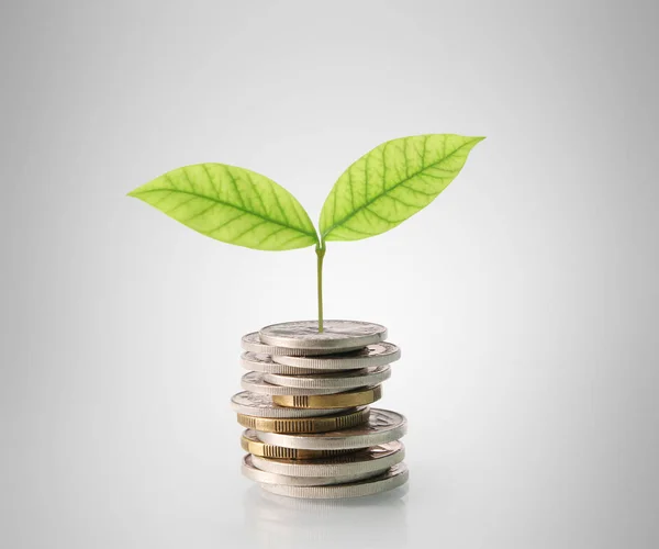 Monedas gráfico mercado de valores — Foto de Stock