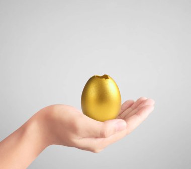  Altın yumurta holding