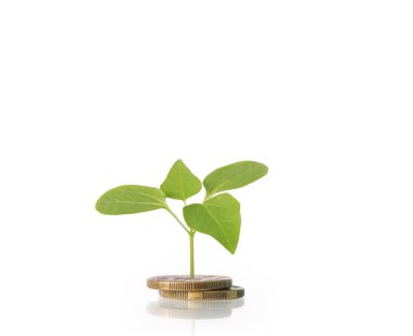 Madeni paralar borsa grafiği