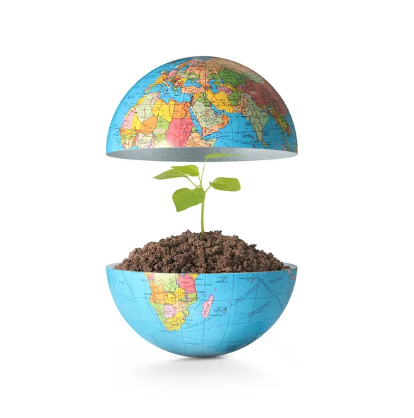 Globe  a environment concept — Stock Photo, Image