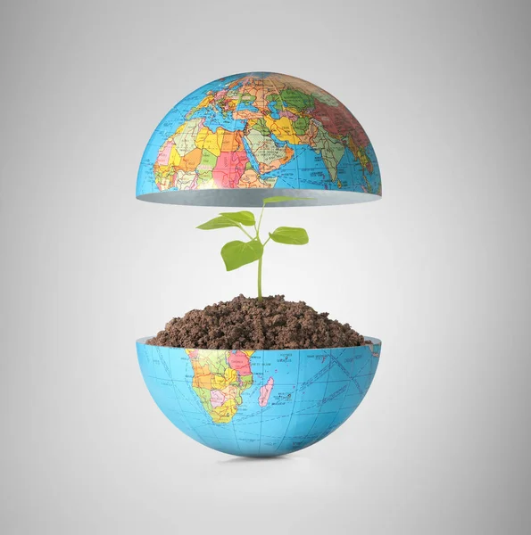 Globe un concept environnemental — Photo