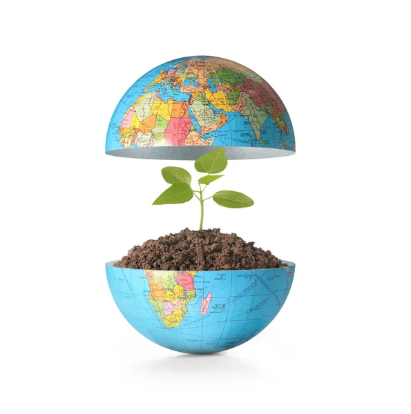 Globe  a environment concept — Stock Photo, Image