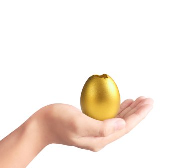  Altın yumurta holding