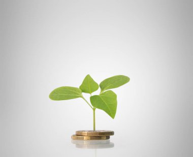 Madeni paralar borsa grafiği