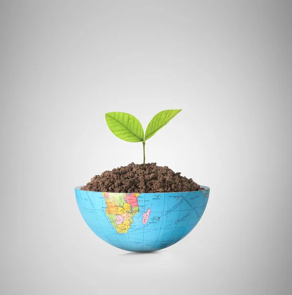 Globe  a environment concept — Stock Photo, Image