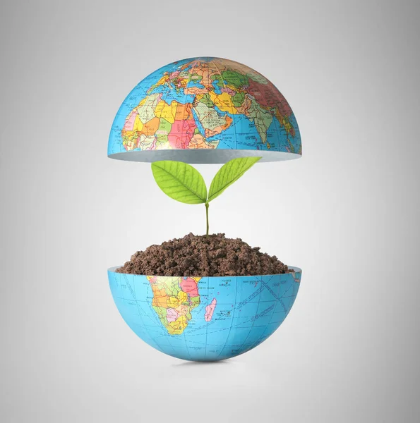 Globe un concepto de entorno — Foto de Stock