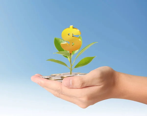 Plant growing from coins in  hand — Stock Photo, Image