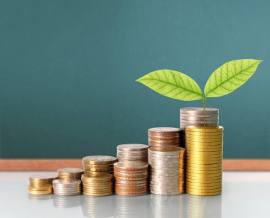 Yatırım kavramı, sikke stok grafik. 