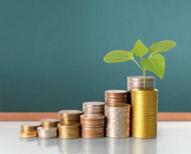 Yatırım kavramı, sikke stok grafik. 