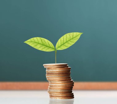 Yatırım kavramı, sikke stok grafik. 