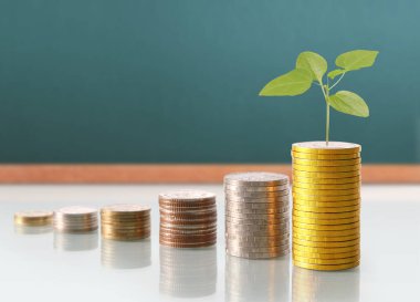 Yatırım kavramı, sikke stok grafik. 