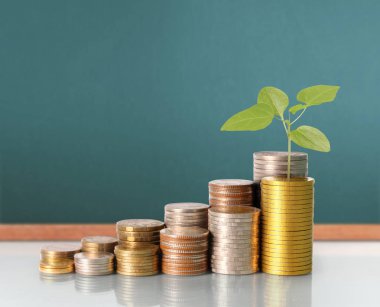 Yatırım kavramı, sikke stok grafik. 