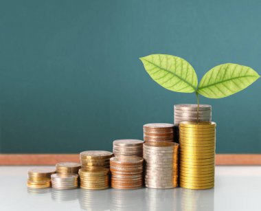 Yatırım kavramı, sikke stok grafik. 