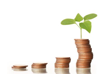 Yatırım kavramı, sikke stok grafik. 