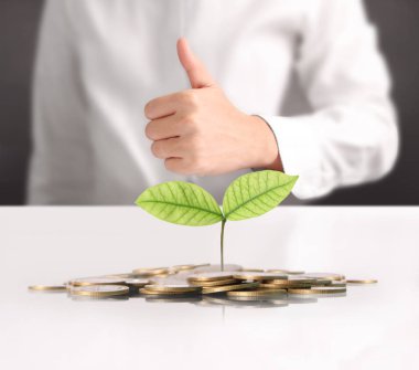  para sikke elinde büyüyen bitki