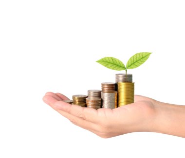 Sikke para koyarak el eller