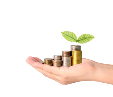 Sikke para koyarak el eller