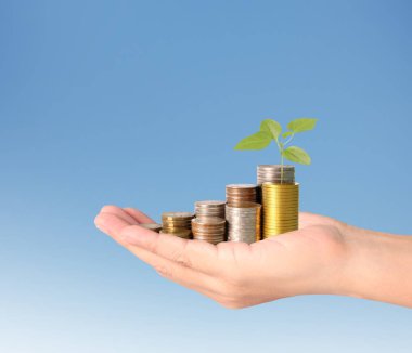 Sikke para koyarak el eller