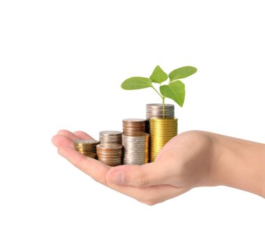 Sikke para koyarak el eller