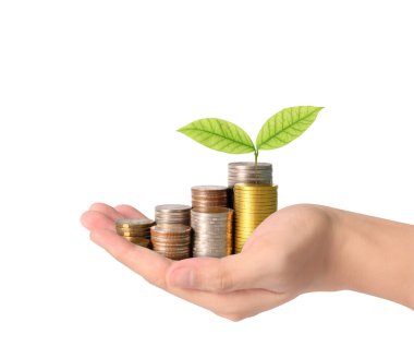 Sikke para koyarak el eller