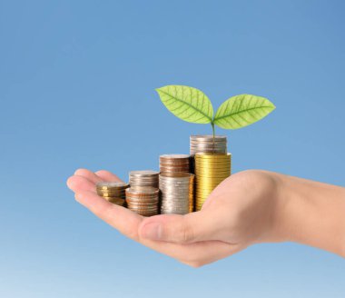 Sikke para koyarak el eller