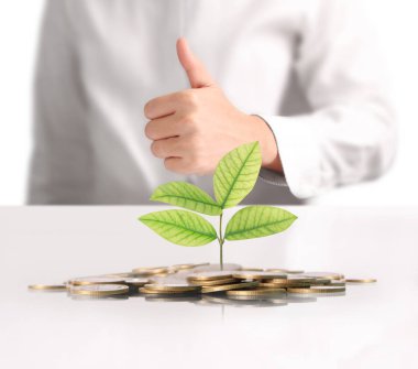  para sikke elinde büyüyen bitki