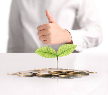  para sikke elinde büyüyen bitki