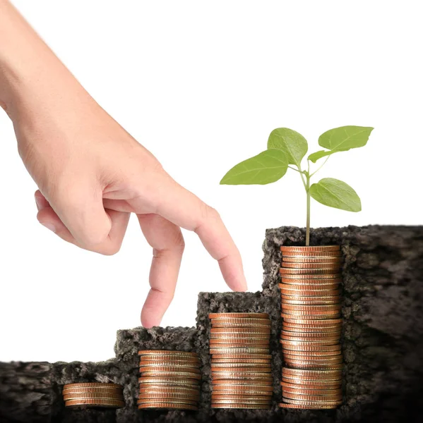 Hand human hand putting coin to money — Stock Photo, Image