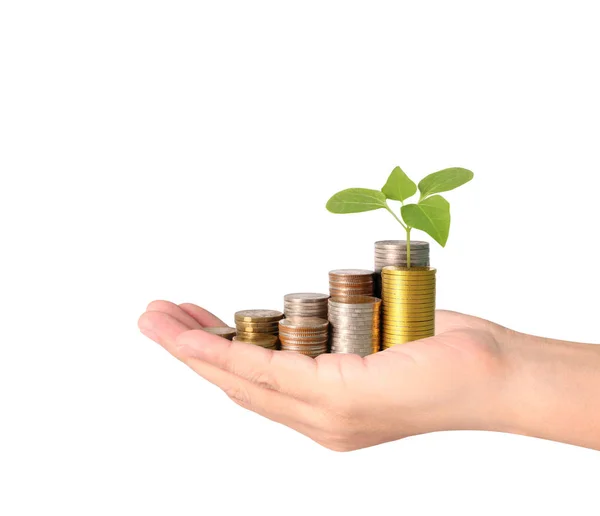 Hand human hand putting coin to money — Stock Photo, Image