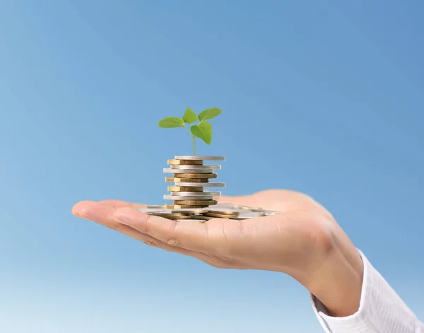 Hand human hand putting coin to money — Stock Photo, Image