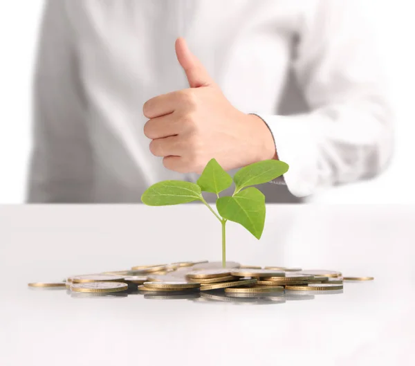 Planta monetaria que crece a partir de monedas en la mano —  Fotos de Stock