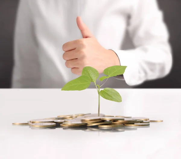 money plant growing from coins in hand